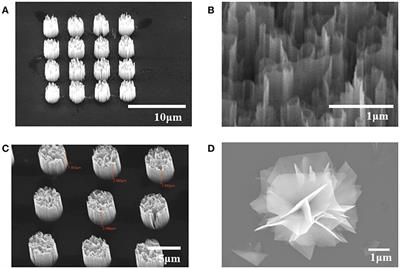 Study of Chemical Enhancement Mechanism in Non-plasmonic Surface Enhanced Raman Spectroscopy (SERS)